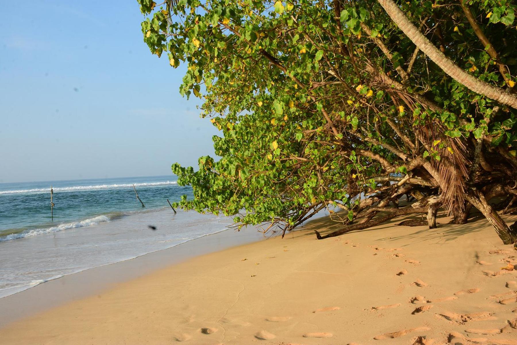 Turtle Beach Талпе Экстерьер фото